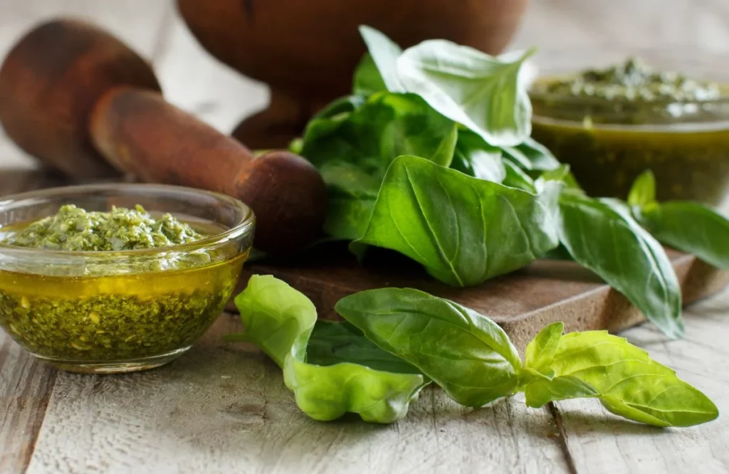 Introduction to Basil Substitutes: